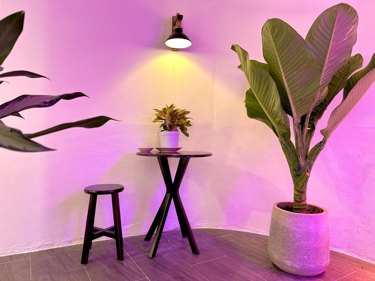 Penthouse Sieu Chill Ngay Pho Di Bo Nguyen Hue *